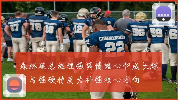森林狼总经理强调情绪心智成长球商与强硬特质为补强核心方向